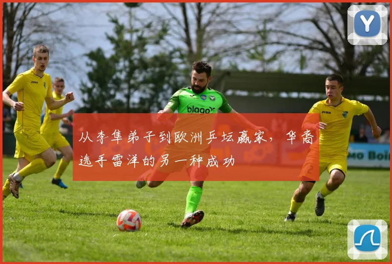 从李隼弟子到欧洲乒坛赢家,华裔选手雷洋的另一种成功