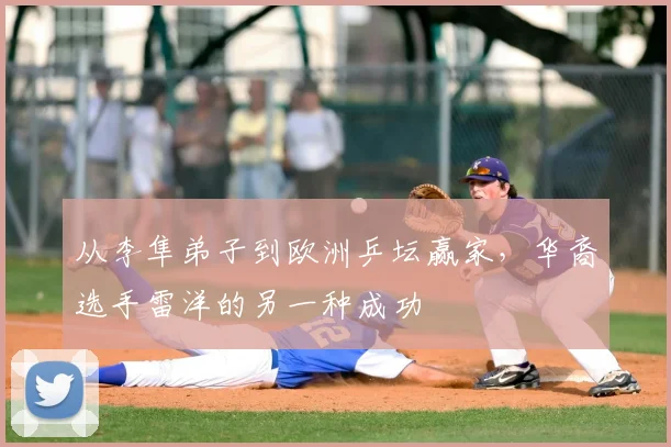 从李隼弟子到欧洲乒坛赢家,华裔选手雷洋的另一种成功